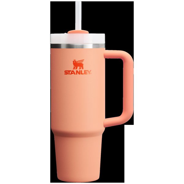 Stanley Quencher H2.0 Tumbler 30 OZ WITH